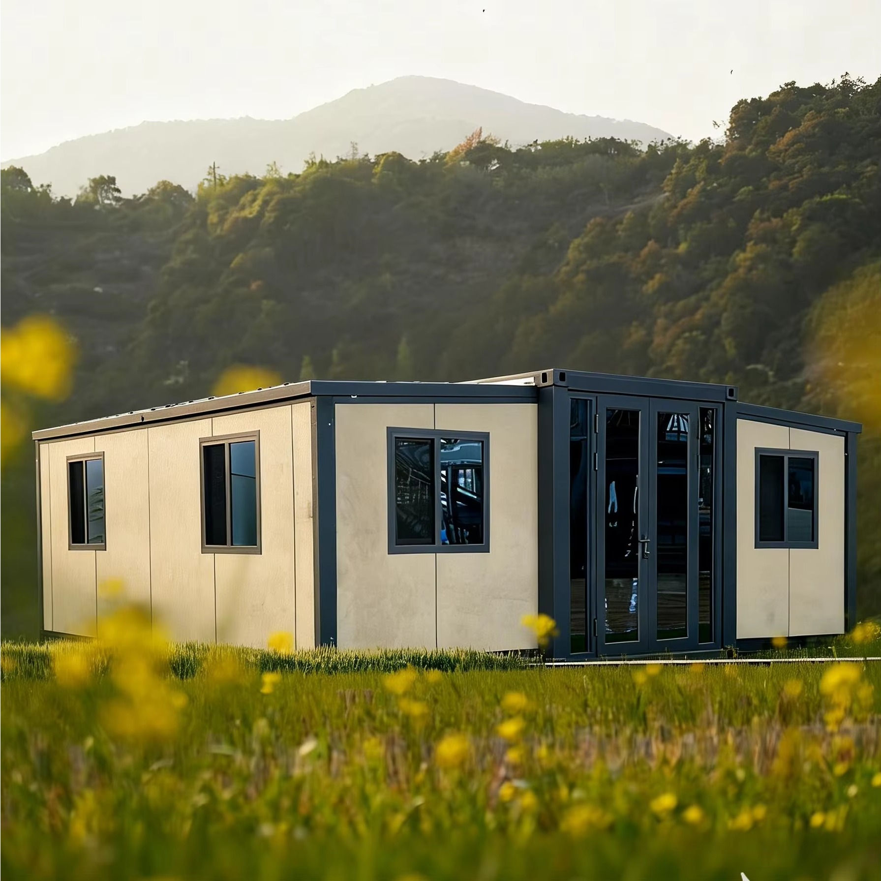 20FT 40FT Double Wing Expandab - Interior Design Luxury House review and price